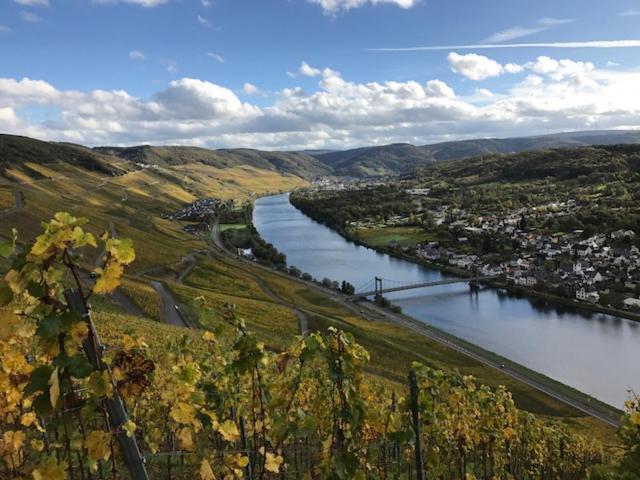 Hotel Ferien-Wein-Gut Keifer Bernkastel-Kues Esterno foto