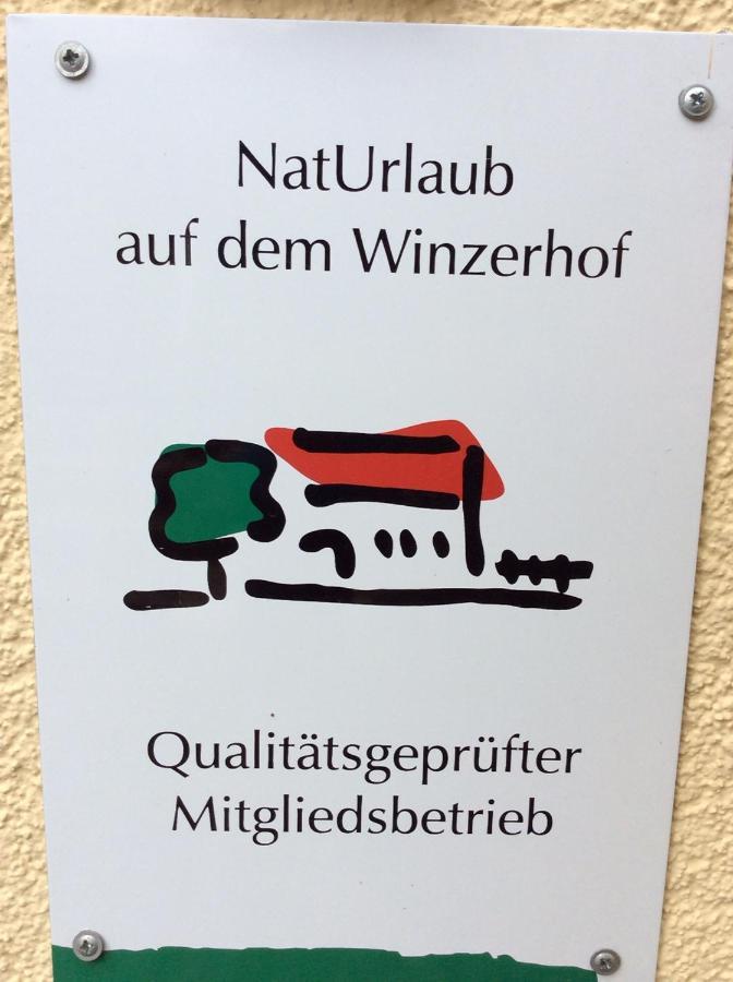 Hotel Ferien-Wein-Gut Keifer Bernkastel-Kues Esterno foto
