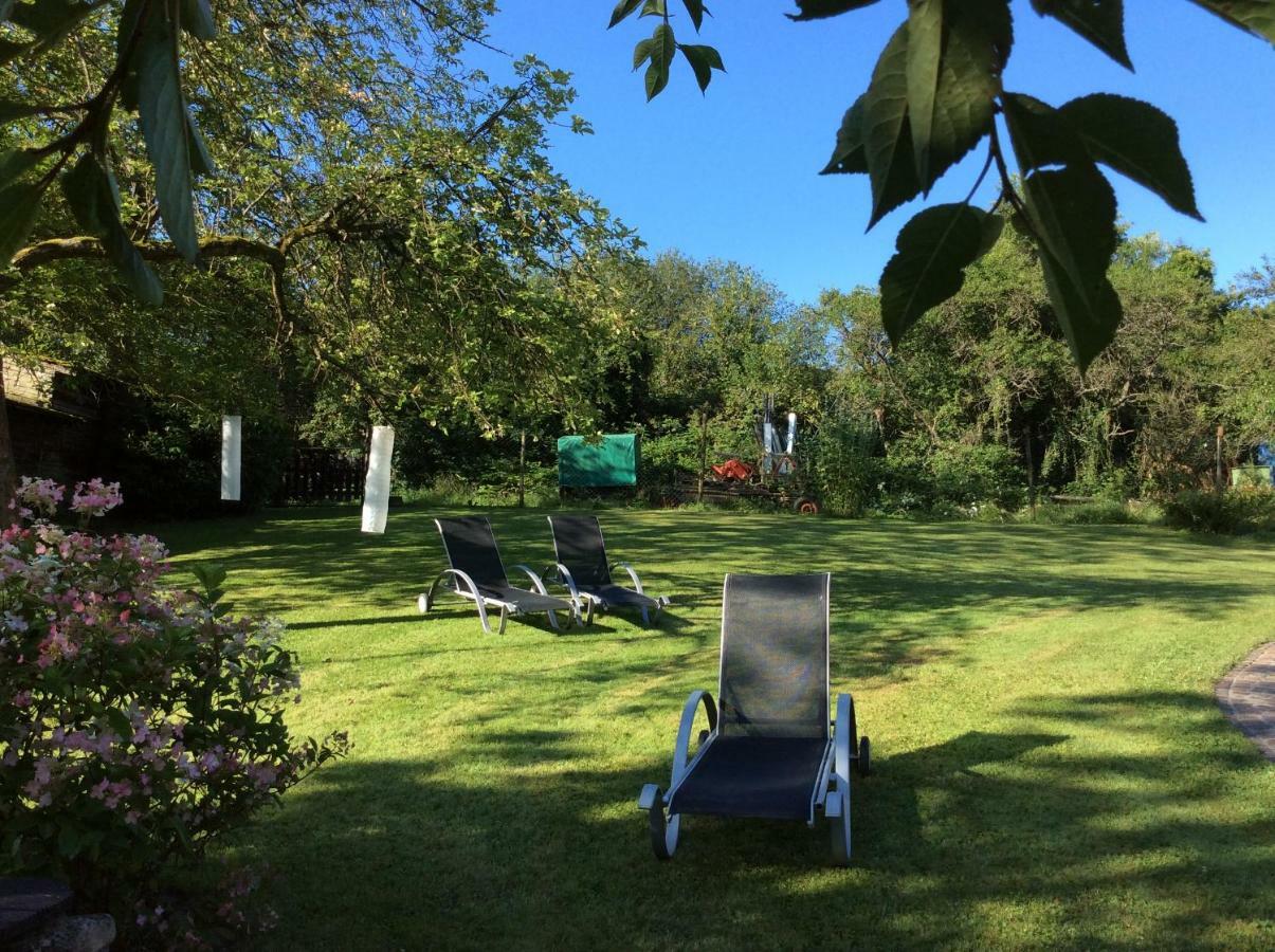 Hotel Ferien-Wein-Gut Keifer Bernkastel-Kues Esterno foto